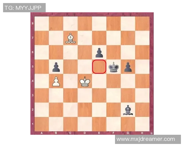 深入分析杭州网球队的控制打法与战术优势探讨